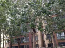 临湖轩品质大三房 电梯房急售