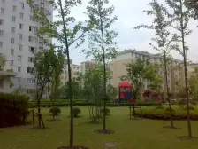 8号延长线50米,商品房小区,落地阳台,带飘窗,诚售