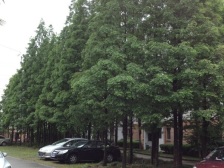 中间安静位置 好楼层上下楼方便 南北户型通风好采光亮