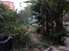 徐汇 近一号线地铁 边套全明