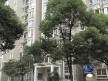 近地铁,电梯房,新上房源