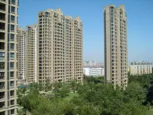 保利叶上海(二期) 3室1厅 东南