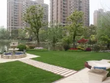 清水毛胚,位置安静,临近水岸码头,鸟语花香,看房有钥匙