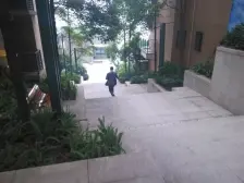 龙湖春森彼岸 正规三房 精装修 拎包入住 看江