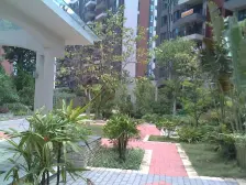 方正两房朝南光线好,业主诚心出售