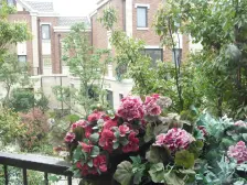 保利叶上海(别墅) 5室3厅 南 北