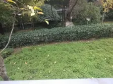 龙湖品质 正规大一室一厅,看来福士洪崖洞渝中半岛