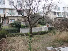 上置香岛原墅(别墅) 3室3厅 南