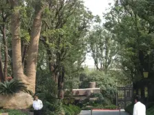 独栋别墅,900万装修,chao大花园,看房提前预约