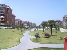 阁楼复试,产权干净,业主诚意,采光透亮