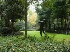 橙郡一期 2室1厅 西南