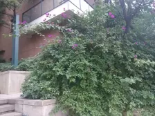 北滨路龙湖品质 次新房 近地铁 随时可看