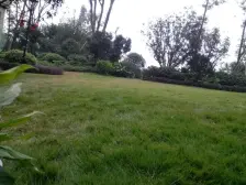 照母山 协信星都会(高层)三房110万