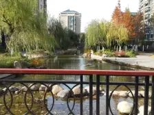 新城小区3室2厅南