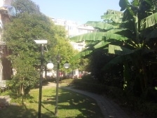 等了一个月这小区终于出房子了+地铁500米+植物园旁