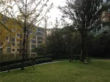 龙湖朝南两房 落地穿 一线江景 无遮挡 全屋地暖