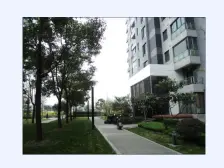 薪上房源,电梯洋房,诚意出售,价格可谈