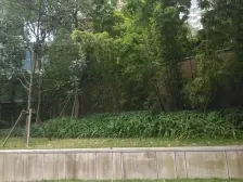 龙湖春森彼岸四期 4室2厅 南