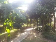 买一层送一层双露台,汇师+园南,自住诚出看房方便