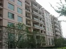 金色中环内 近地铁 商品房户型 楼层位置佳