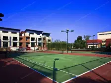 看沿海必看房 带露台 带花园 带车库地下室 满五为一