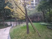 180度江景,正朝南外阳台俯瞰渝中半岛看洪崖洞精装修