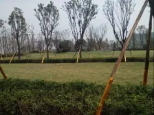 西区 融创嘉德领馆二房160万