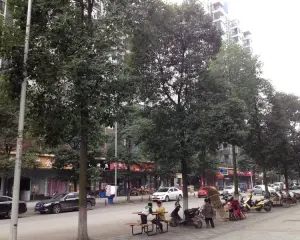 汇融名城A区 3室2厅 东南 南