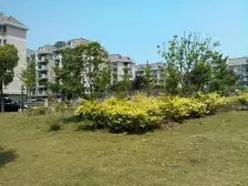 唐镇·金利公寓·3室·2厅