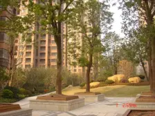 品质宝华,鸟语花香,龙之梦和大宁商圈,诚意出售。