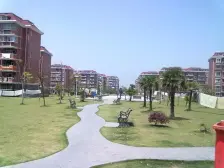 急售买一层?一层复S小户型7/15线近地T顾村公园