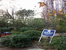 一线江景房,南附,采光好,地段好