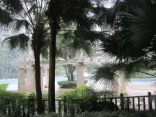 石坪桥网红森林小区,户型采光好,中间楼层,朝中庭