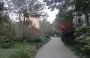 丽泉江南小区实景图