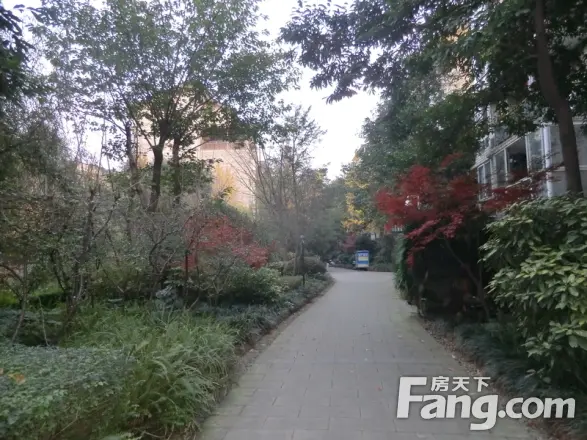 丽泉江南小区实景图