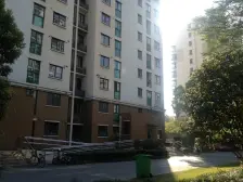 改善三居 房型正 绿化房型好 诚意出售