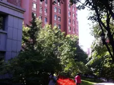 辰能溪树庭院1室2厅南