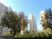 东湖大郡三期,中间楼层,保养新,采光好,诚意出售