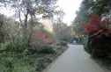 丽泉江南小区实景图