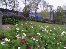 轻轨旁住家精装两房,近公园和光环,生活方便