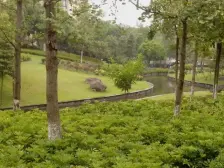 同景国际城I组团 3室1厅 东 东南