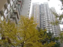 回兴 圣湖天域三房118万