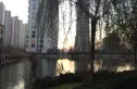 海逸长洲瀚景园实景图