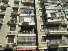 缘圆宝邸 1室1厅 南