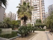 满五年唯&一,好位置,南北双阳台,格局好,视野开