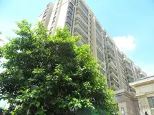 满五唯一,精装修保养很好,南向大阳台