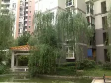 电梯房,现场实勘 急售房源