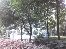 优选地铁房 带小背包 三峡广场购物方便 三房两卫