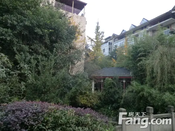 丽泉江南小区实景图