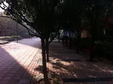 大龙山轻轨站旁,带外阳台,住家装修,配套齐全